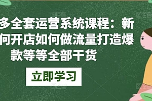 拼多多全套运营系统课程:新手如何开店如何做流量打造爆款等等全部干货