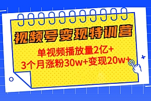 21天视频号变现特训营：单视频播放量2亿+3个月涨粉30w+变现20w+（第14期）