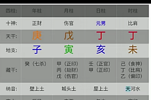 九龙道长《实地班+网络班》课程 百度云盘
