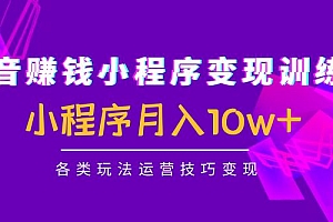 抖音赚钱小程序变现训练营:小程序月入10w+各类玩法运营技巧变现