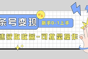 2023头条号实操变现课：新手0-1轻松上手，快速获取收益-可批量操作