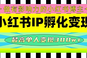 某收费培训-小红书IP孵化变现:做有影响力的小红书博主,最高单人变现300w+