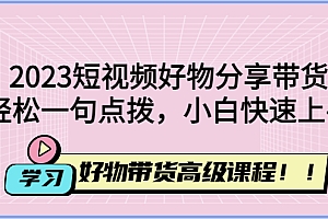 2023短视频好物分享带货，好物带货高级课程，轻松一句点拨，小白快速上手