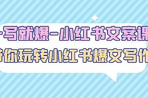 小红书文案(43节课):带你玩转小红收爆文写作
