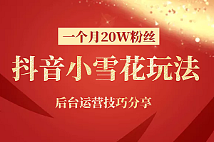 抖音小程序小雪花新号一个月20W粉丝玩法,后台运营技巧分享
