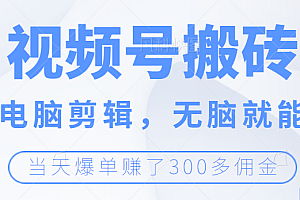 视频号无脑搬砖带货，会电脑剪辑无脑就能干，当天爆单赚300+佣金