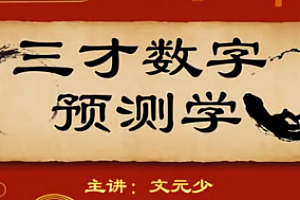 文元少《三才数字神断预测学》 16集视频 +资料