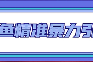 闲鱼精准暴力引流全系列课程,每天被动精准引流200+客源技术(8节视频课)