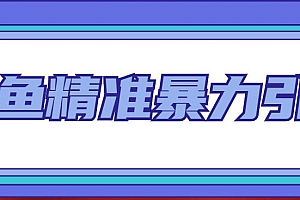 闲鱼精准暴力引流全系列课程，每天被动精准引流200+客源技术（8节视频课）