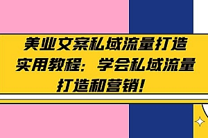 美业文案私域流量打造实用教程：学会私域流量打造和营销