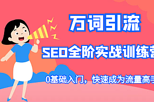 万词引流-SEO全阶实战训练营,0基础入门,快速成为流量高手