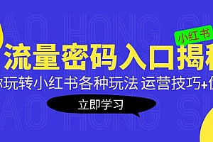 小红书流量密码入口揭秘:带你玩转小红书各种玩法 运营技巧+优化