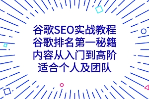 谷歌SEO实战教程:谷歌排名第一秘籍,内容从入门到高阶,适合个人及团队