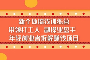 新个体搞钱训练营：带领打工人 副操业盘手 年轻创业者拆解赚钱项目