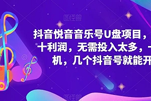 抖音音乐号U盘项目 一单几十利润 无需投入太多 一台手机 几个抖音号就开始