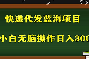 2023最新蓝海快递代发项目,小白零成本照抄也能日入300+