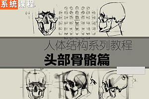 祝凯素描课程 人体结构系列教程<硬性知识·头部骨骼篇>
