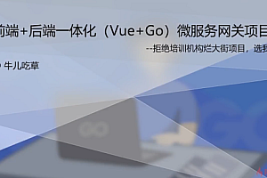 Vue+Go 开发企业级微服务网关项目教程【前端后端一体化】