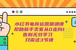 小红书电商·运营精通课,帮助新手卖家从0走向1 告别无效学习(17节视频课)