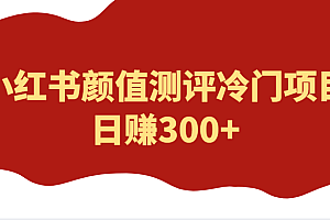 外面4980的项目,小红书颜值测评冷门项目,日赚300+