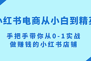 小红书电商项目:从小白到精英 手把手带你从0-1实战做赚钱的小红书店铺