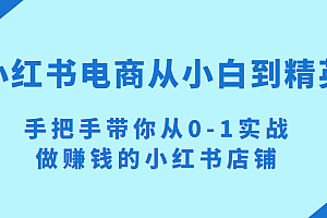 小红书电商项目：从小白到精英 手把手带你从0-1实战做赚钱的小红书店铺