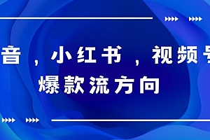 抖音,小红书,视频号爆款流视频制作,简单制作掌握流量密码